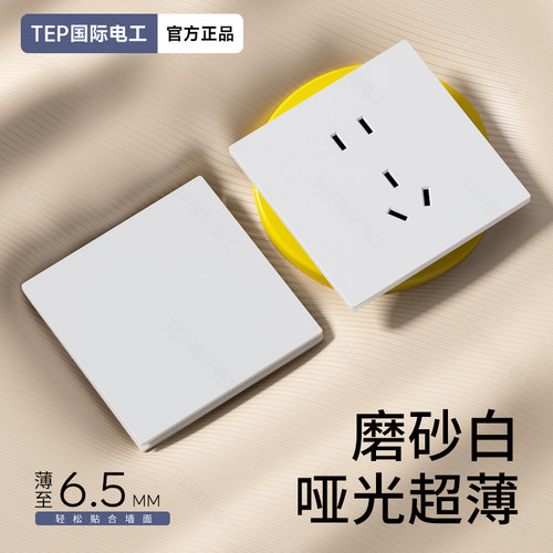 TEP国际电工全塑超薄开关插座