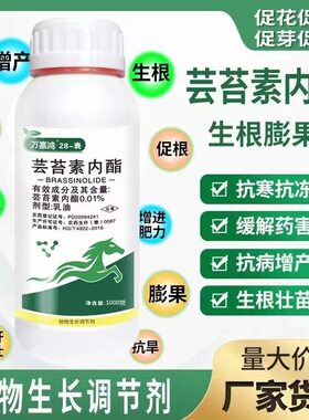 天然28表芸苔素内脂保花果