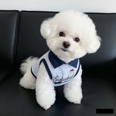 宠物夏季条纹POLO领衣服雪纳瑞西高地比熊撞色薄款柴犬中小狗衣服