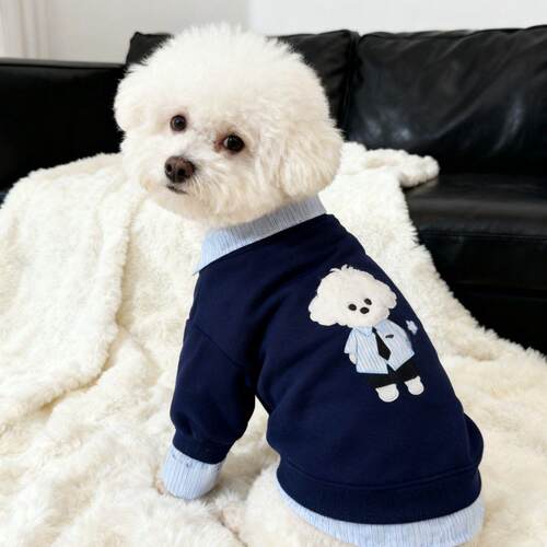 宠物狗加绒Polo领卫衣纳瑞泰迪比熊雪纳瑞博美可爱印花衣服中小犬