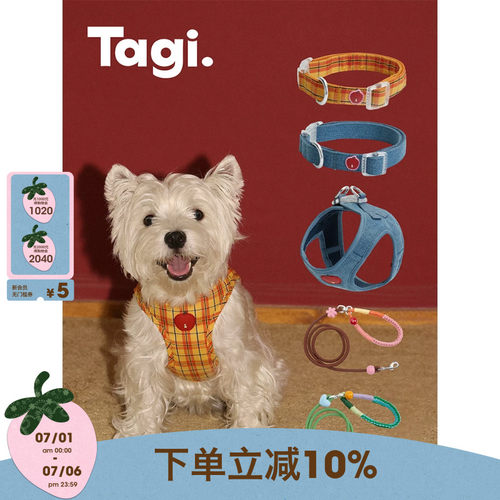 Tagi.遛狗项圈防爆冲狗绳胸背