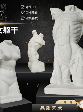 男躯干石膏像女躯干人物头像素描石膏像胸像写生美术石膏摆件