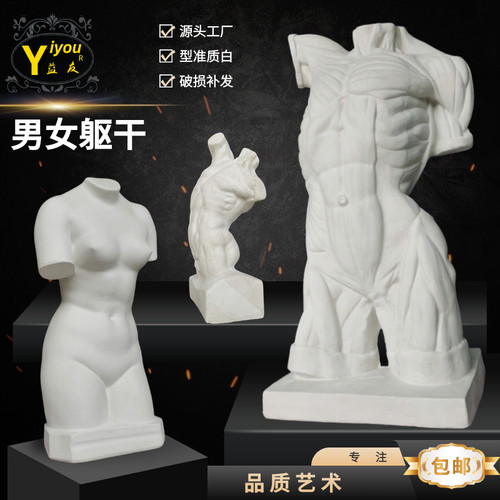 男躯干石膏像女躯干人体肌肉结构素描石膏像胸像写生美术石膏摆件