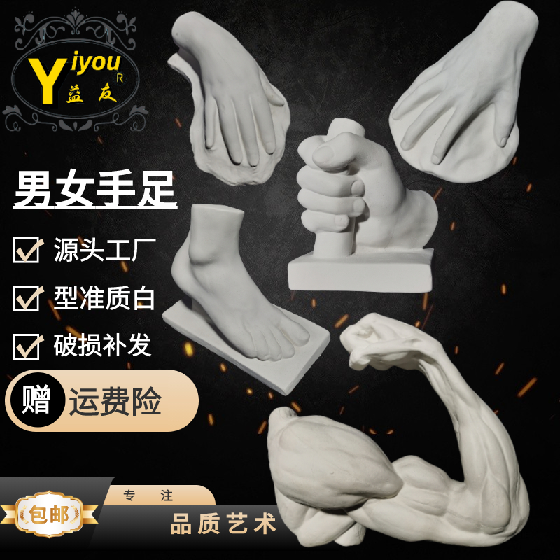 男女手模型男女足模型石膏曲臂模型直臂男女四肢素描教学绘画石膏