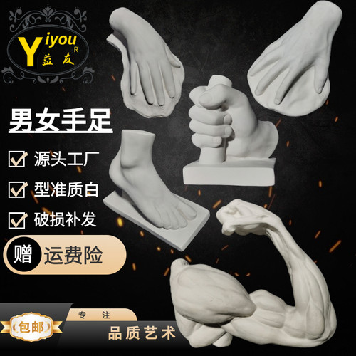 男女手模型男女足模型石膏曲臂模型直臂男女四肢素描教学绘画石膏