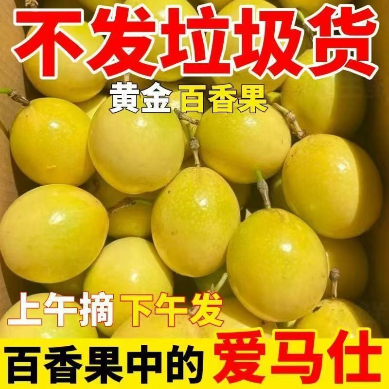 广西9号黄金百香果新鲜水果当季现摘白香果钦蜜