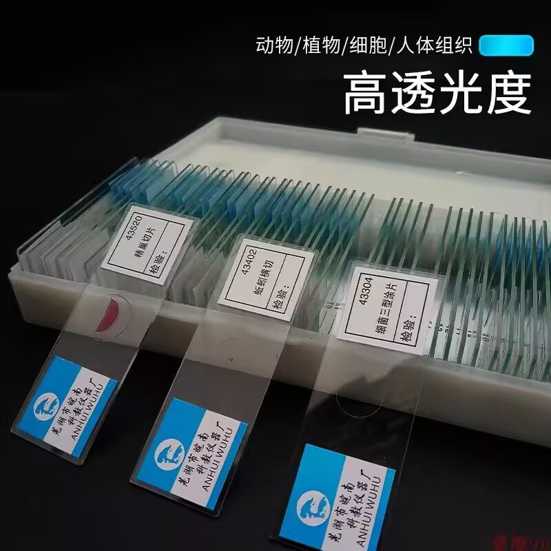 标本制作工具玻璃切片生物切片