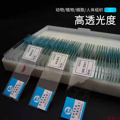 标本制作工具玻璃切片生物切片