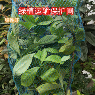 网罩花盆防漏叶子防脱塑料弹力网家用防植物散落 绿色植物运输包装