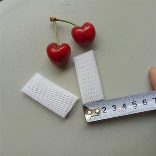 珍珠棉玫瑰网套 杏子山楂草莓樱桃保护网套 小番茄保护泡沫网套