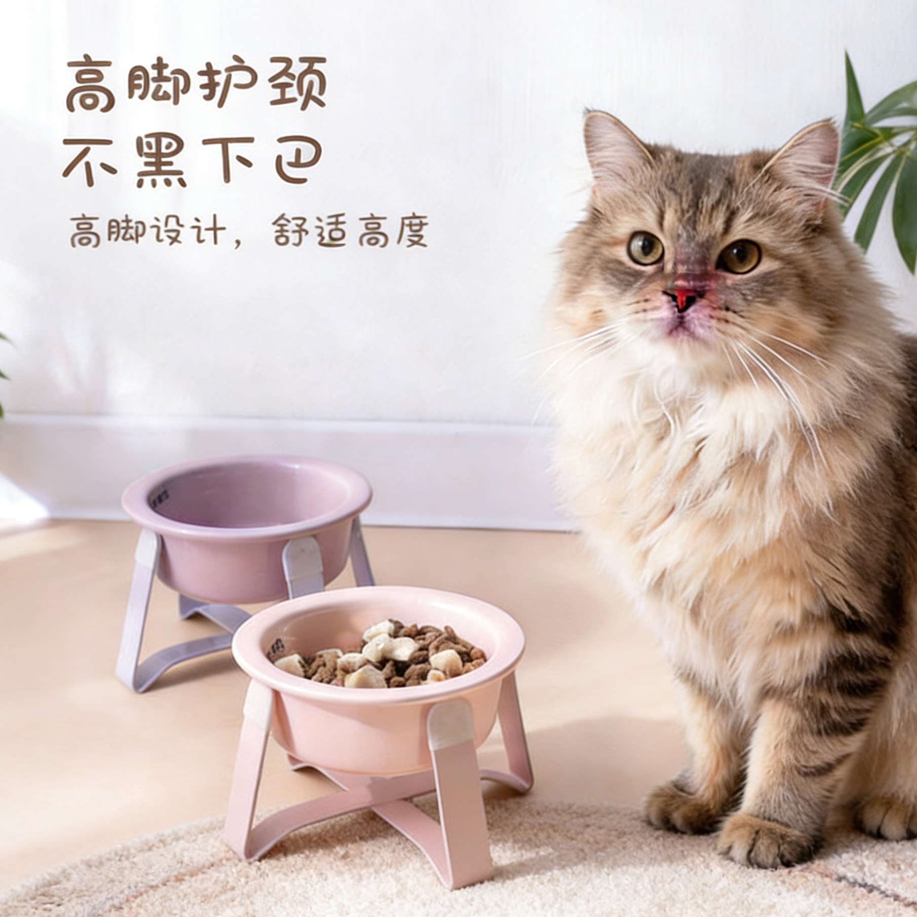 陶瓷宠物碗创意奶油风护边碗带矮款铁架高脚护颈椎猫碗狗碗猫食盆,宠物/宠物食品及用品,猫狗碗/慢食碗,淘宝优惠券,粉丝福利购,淘宝优惠卷