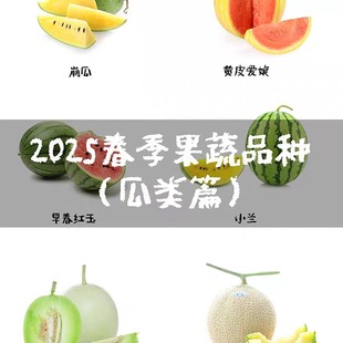 2025年瓜类种子