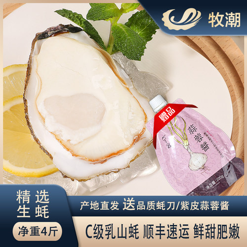 4斤装乳山生蚝好品质看得见