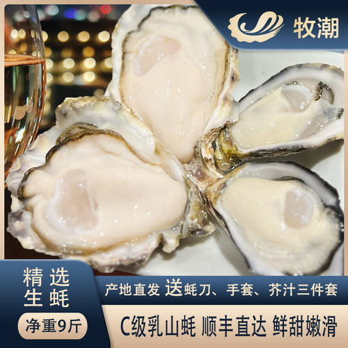 乳山生蚝鲜甜肥满个大好吃