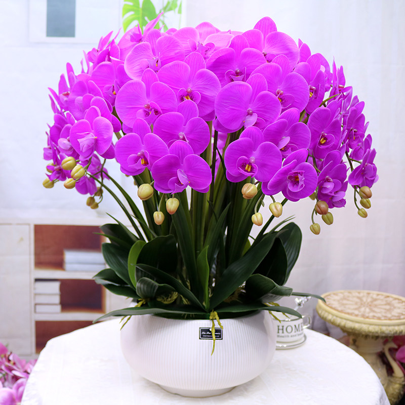 仿真蝴蝶兰特大号保湿手感装饰花家居客厅花艺电视柜玄关酒店假花