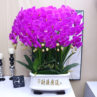 仿真花特大号保湿手感蝴蝶兰客厅电视柜花艺公司前台茶几假花摆件