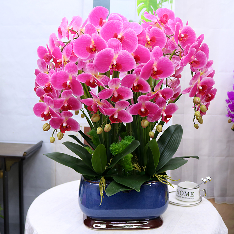 仿真花特大号保湿手感蝴蝶兰客厅装饰电视柜玄关假花酒店公司摆设