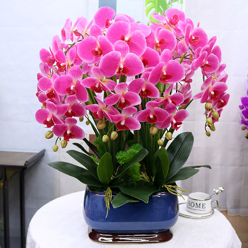 仿真花特大号保湿手感蝴蝶兰客厅装饰电视柜玄关假花酒店公司摆设