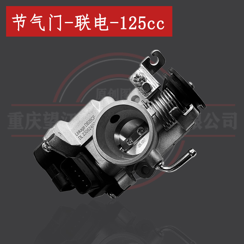 望江天地游侠节气门总成