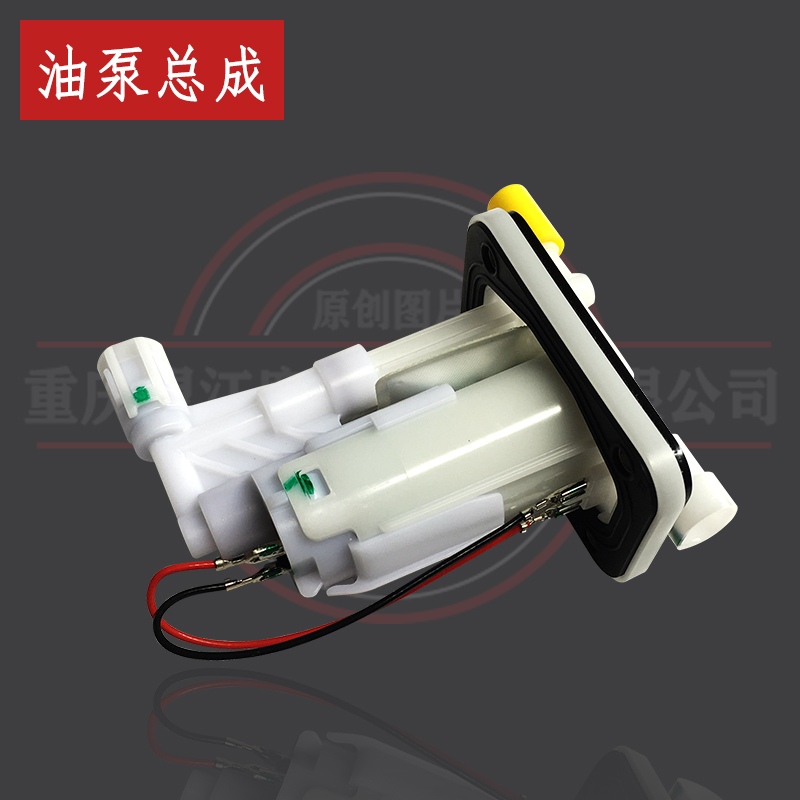 汽油泵望江天地游侠望江