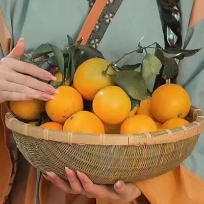 麻阳冰糖橙果农直发不打药自然熟
