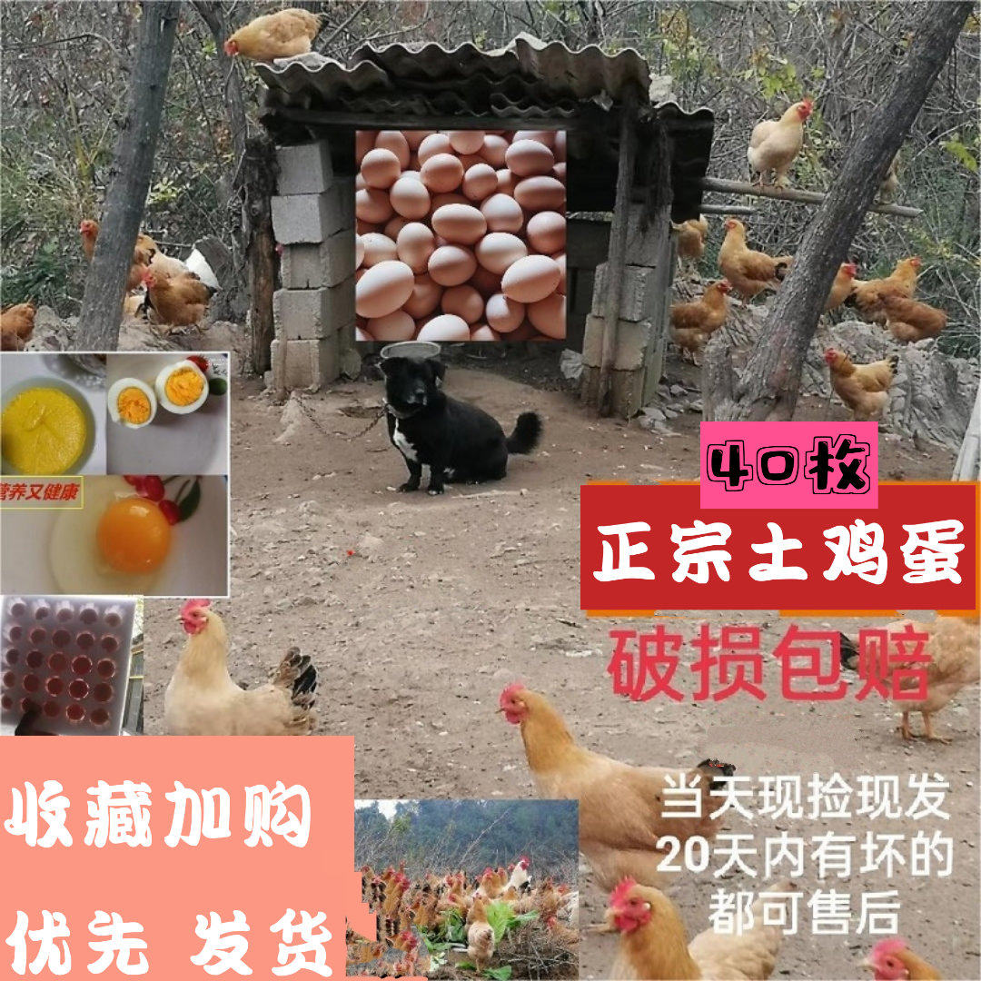 焰山鲜正宗农家散养新鲜土鸡蛋农村山区自养谷物蛋草虫杂粮土鸡蛋