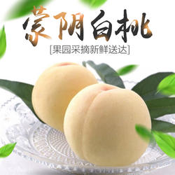 蒙阴白玉桃沂蒙大桃子新鲜水果毛桃白桃现摘现发蜜桃桃小旺5斤