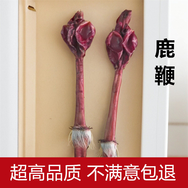 鹿鞭中药材60克包邮鹿鞭干鹿鞭片鹿鞭粉滋补鹿鞭整根梅花鹿泡酒