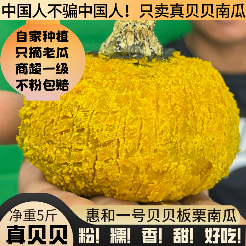 惠和一号贝贝南瓜贝贝板栗小南瓜正宗板栗味5斤婴儿辅食粉糯老瓜