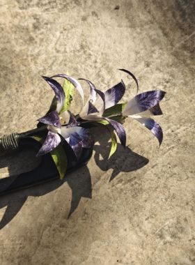 簪若兰芷 紫兰花 原创非遗绒花发簪发插发钗发夹胸针汉服旗袍