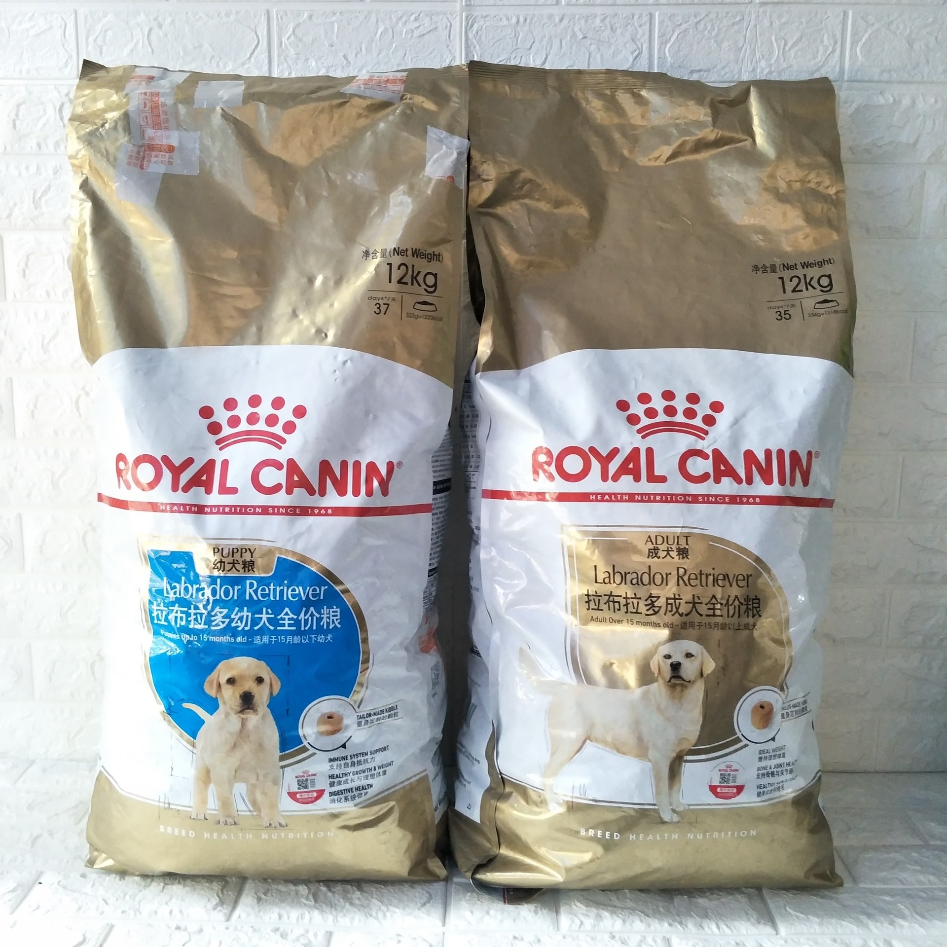 皇家拉布拉多狗粮成犬粮幼犬