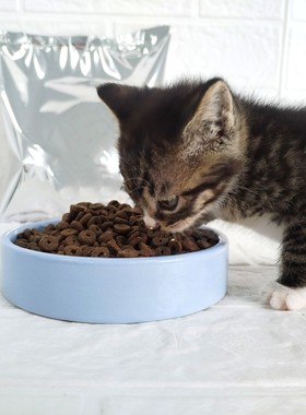 成猫营养猫粮分装试吃500
