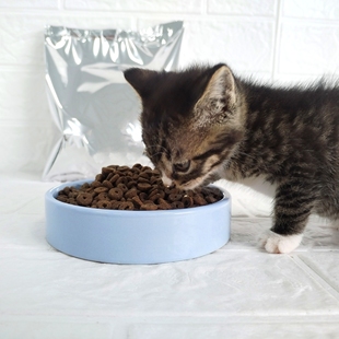 特价国产/豪爵/京东京造/猫乐适猫粮营养发腮猫主粮500g分装