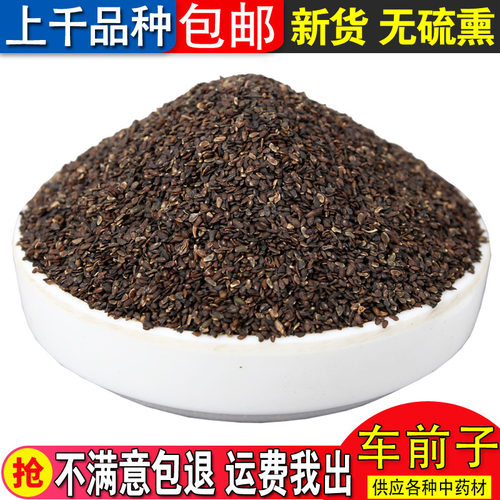 中药材新货车前子500克包邮