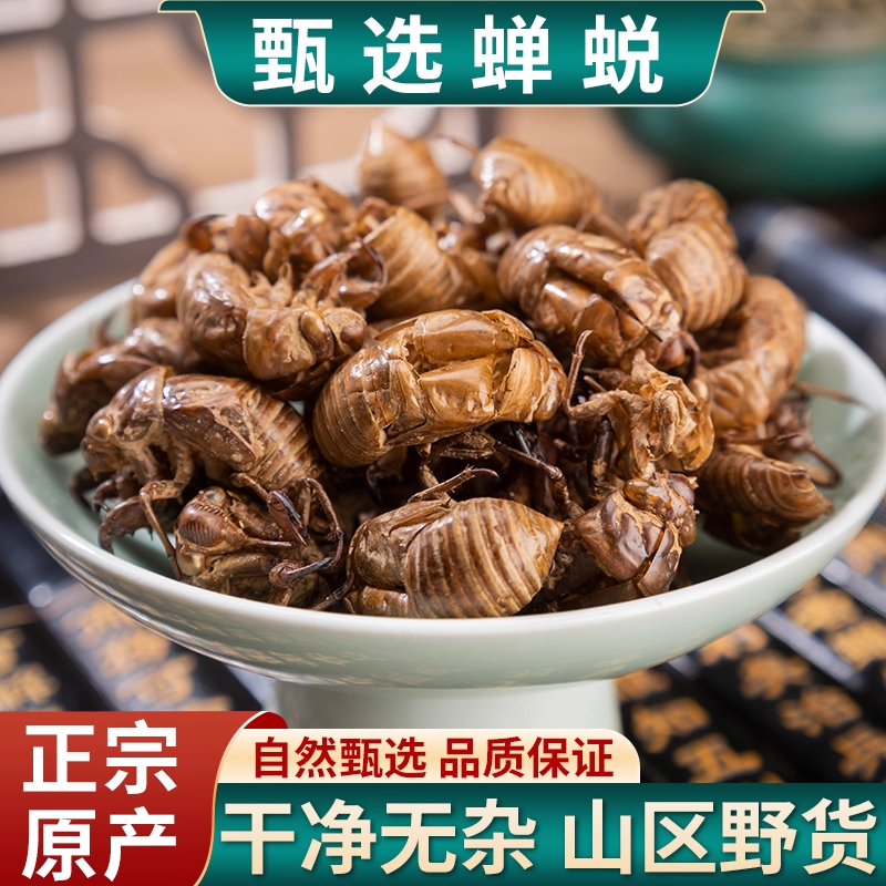 中药材野生蝉蜕500g蝉脱金蝉衣金蝉壳蝉皮蝉壳蝉衣知了皮知了壳粉