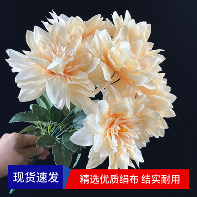 大小朵7头把束白黄色菊花工程花