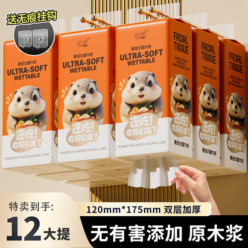 12提挂式抽纸织梦抽取式