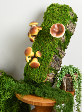 仿真青苔苔藓树皮绿植装饰摆件