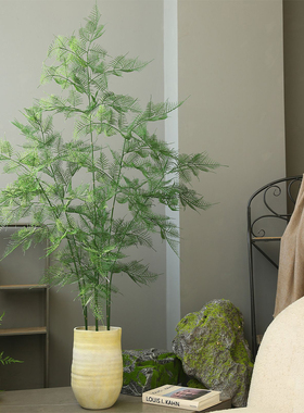 仿真文竹绿植盆栽造景摆件假植物