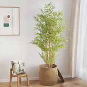 新中式 仿真金丝竹绿植盆栽室内禅意造景落地竹子摆件落地植物盆景