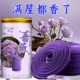家用持久留香栀子花香熏艾草驱蚊厕所除臭除异味 蔷薇花香盘香