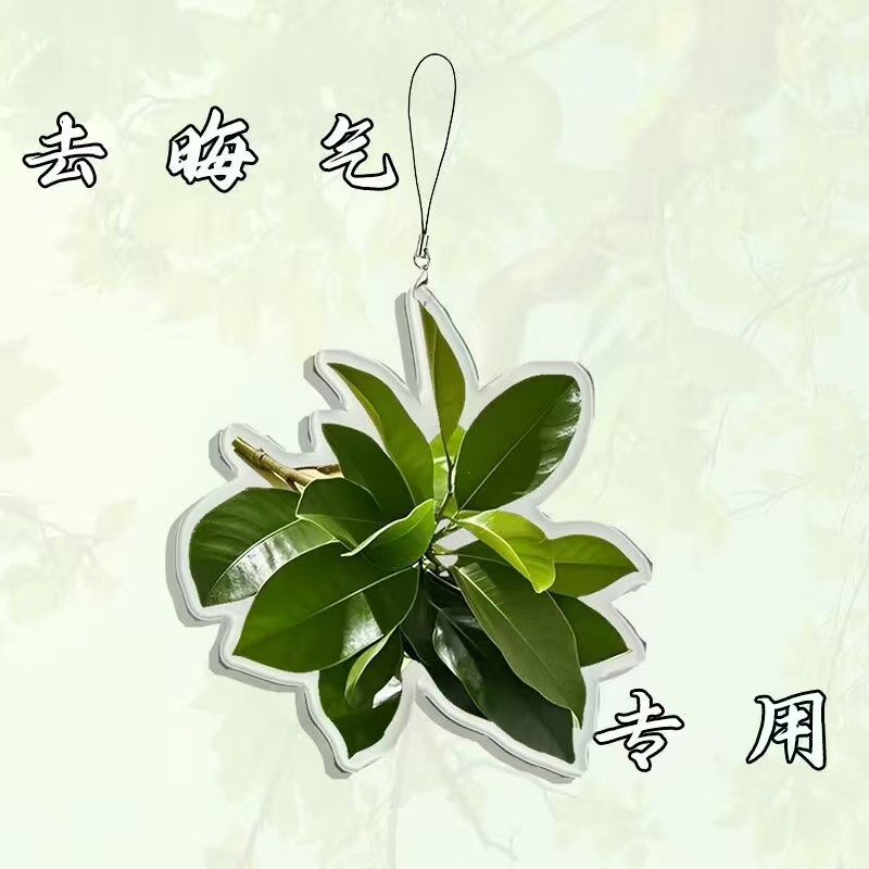 柚子叶去晦气钥匙扣转运幸运书包