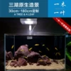Товары от 一木一叶造景