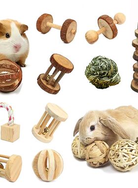 Guinea Pig Rabbit Hamster Small Animal Play Pet Roller Toys