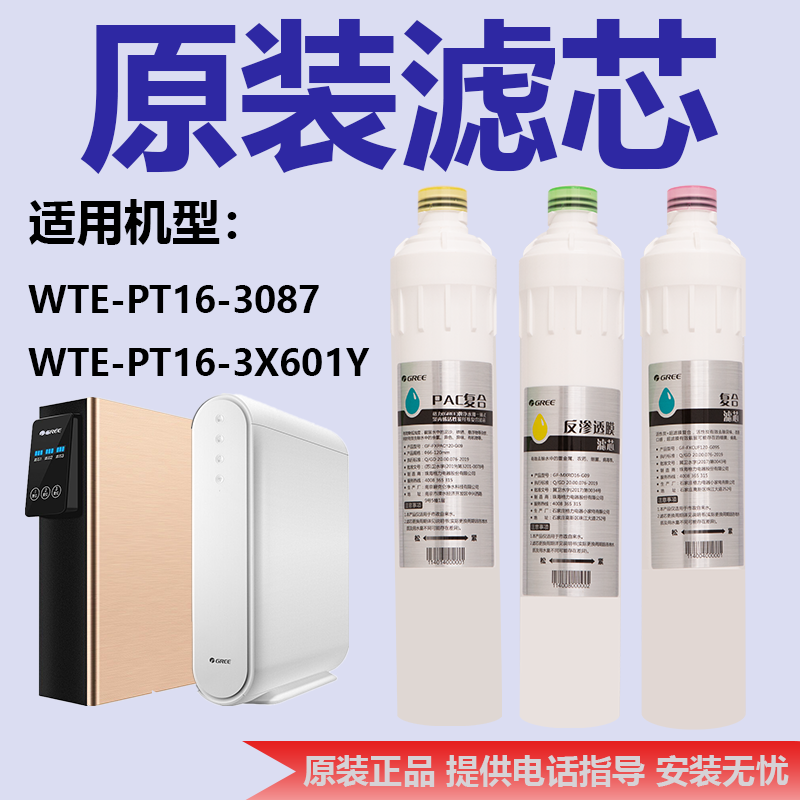 格力WTE-PT16-3087/3X601Y滤芯