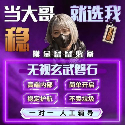 三角洲行动PC端大神专用辅助视觉物资价格主播同款稳定中