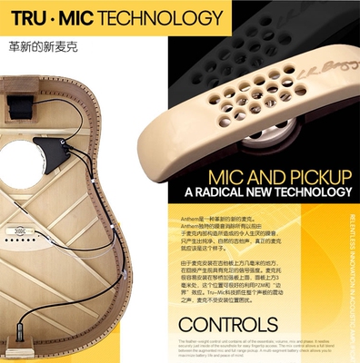 安森LR.R.BaggsAnthem拾音器