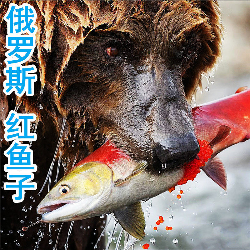【非合成】俄罗斯进口天然大马哈鱼子酱鱼籽大粒三文鱼籽新鲜即食,水产肉类/新鲜蔬果/熟食,鱼子(籽)/制品,淘宝优惠券,粉丝福利购,淘宝优惠卷