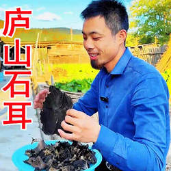 庐山野生石耳干货正品纯正天然大片无砂免洗黄山九华山岩耳非木耳