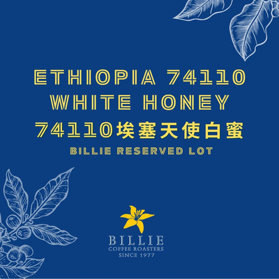 埃塞俄比白蜜74110必尝精品咖啡